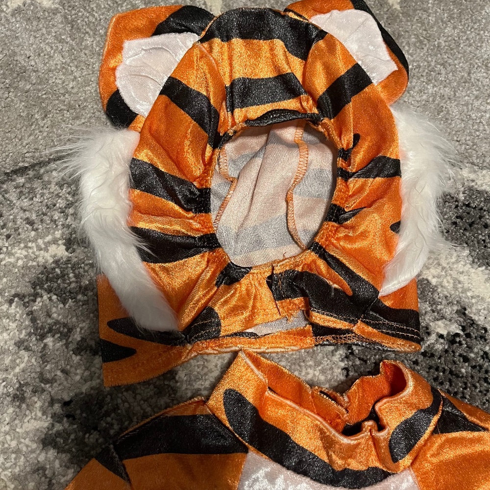 Tiger costume